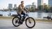 DUOTTS C29-K Long-Range Electric-Assisted Bicycle, 250W Motor, 48V 15AH Battery + 22.5Ah Rear Rack Battery, 29-inch Tires_desvips.com