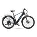 PURE UNICORN U3 Electric Mountain Bike 29'' All-Terrain E-Bike 750W 48V12.8AH Battery_desvips.com