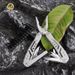 Stainless Steel Multi-Function Folding Multi-Purpose Small Knife Portable Outdoor Emergency Tool Pliers Wholesale_desvips.com