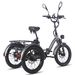 Fafrees F20 Mate Electric Cargo Tricycle 48V 21Ah Battery With L2e-P Certified_desvips.com