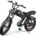 C93 Dual Motor Bicycle Private Model 20 Inch Snow Tire Electric Bike Ebike_desvips.com