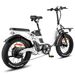 Fafrees F20 X-Max Electric Bike 20*4.0 Inch Fat Tire 750W Brushless Motor 48V 30AH Battery_desvips.com