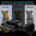 Night Vision Sight 1080P Capable Of Taking Photos/videos, COMS Imaging, Optical 5x Magnification, Three-level Infrared Adjustable_desvips.com