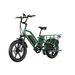 JOBOBIKE Transer Electric Cargo Bike For Family, Dual Battery LG 48V 15Ah 1440Wh_desvips.com