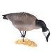Cross-Border Exclusive EVA Soft Rubber Foldable Canadian Black Thigh Hunting Wild Garden Landscape Goose Decoy_desvips.com