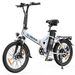 VARUN C20-1 PRO Folding Electric Bike, 48V 13Ah Removable Battery_desvips.com