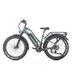 JOBOBIKE ROBIN PRO ST-F33 Electric Bike For Adults With 48V 17.5Ah Battery_desvips.com