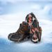 19-tooth Mountaineering Crampons, Ice And Snow Equipment, Outdoor Anti-slip Stainless Steel Welded Chains, Reinforced_desvips.com