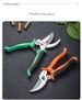 Pruner Garden Scissors Professional Branch Trimming Vegetable Fruit Tree Sharp Pruning Shears Household Gardening Shear Scissor_desvips.com
