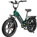 Maxtron Camel Electric Bike For Adults,48V 18AH Removable Battery,Full Suspension_desvips.com