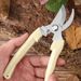 Stainless Steel Scissors Flower Cutting Flower Arrangement Pruning Fruit Tree Garden Branch Cutting Household Grafting Pruning_desvips.com