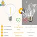 Svater Outdoor String Lights LED 50 FT G40 26 Bulbs Waterproof For Patio_desvips.com