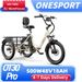 ONESPORT OT30 PRO 20" 3-Wheel Folding E-Trike 500W Motor 48V 18Ah Battery_desvips.com