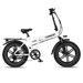 Rincc R200 Folding Electric Bike 750W 48V15Ah Battery 20inch_desvips.com