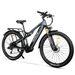 Hedatx TX19 Electric Mountain Bike,48V 19.2Ah Battery, 27-Speed_desvips.com