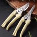 Stainless Steel Scissors Flower Cutting Flower Arrangement Pruning Fruit Tree Garden Branch Cutting Household Grafting Pruning_desvips.com