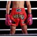New Muay Thai Sanda Summer Training MMA Fighting Shorts Boxing Pants_desvips.com
