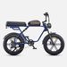 ENGWE M1 E-Mountain Bike 48V 250W Dual Suspensions Hydraulic Brakes 20"×4.0 Fat Tires Off-road Electric Bicycle_desvips.com