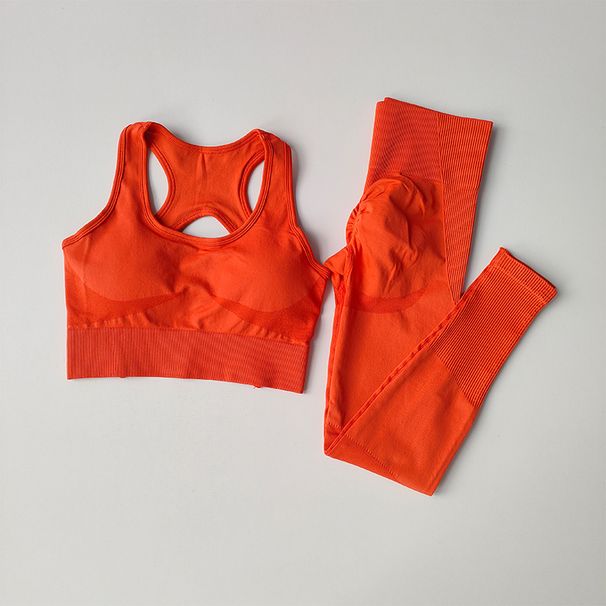 2PCS Sports Women's Set Professional Fitness Tank Top Shockproof Running Leggings Yoga Suit Beautiful Back Bra Clothing_desvips.com