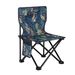Multifunctional Folding Fishing Chair, Portable All-terrain Fishing Chair, Lightweight Wild Fishing & Platform Fishing Chair_desvips.com