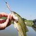 Kaou01 10-24g Lure Bait Realistic Simulation 3D Fisheye Treble Hook Long Casting Multi-Swim Layer Fishing Lure Fishing Supplies_desvips.com