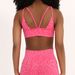 Seamless Bow Outdoor Fitness Sports Bra Push Up Moisture Wicking Non Slip Sports Bra For Women_desvips.com