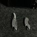 Mini Stainless Steel Folding Knife With Bottle Portable Keychain Pendant, Package Opener, Sharp_desvips.com