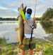 Swimbait Jointed Giant Balam 245 Floating For Big Bait Bass Catfish Hard Lure GiantBait Balam245 Lure_desvips.com
