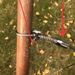 Stainless Steel Livestock Restraint Wire Rope, Quick Release Automatic Locking Binding Rope With Safety Clasp For Animal Leg & Mouth Securing_desvips.com