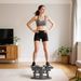 Mini Stepper Fitness Disque De Torsion De La Taille 2 En 1 Écran LCD, Hauteur Réglable, 100 Kg, 42 X 34 X 22 Cm, Noir_desvips.com