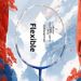 Lion Dance Badminton Racket 5U Lightweight Offensive Adult Training Racquet For Sports & Outdoor Use Single_desvips.com