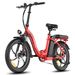 Fafrees F20+ Folding Electric Bike, 250W Motor, 36V 20Ah Battery, 20*3.0 Inch Tires_desvips.com