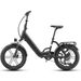 Maxtron Ilex Folding Electric Bike, 250W Motor 48V 14.4Ah Battery_desvips.com