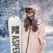 Flip-top Breathable Adult Ski Goggles With Double-layer Anti-fog, Outdoor Snow Large Spherical Lenses, Compatible With Prescription Glasses / HX31_desvips.com
