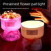 Birthday Girlfriends, Friends, Girls, Teacher's Day Gift For Teachers 2024 New Practical Tap Light With High-end Feel_desvips.com