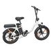 WITAMBIKE C16 (Made In EU) White/Black Electric Bicycle For Adults 48V 16Ah 250W 7-Speed Disc Brake_desvips.com