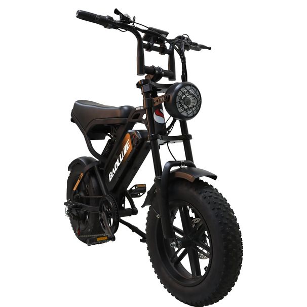 BAOLUJIE F2 Full Suspension Electric Bike, 48V 13Ah Removable Battery, 16"x4.0" Tires_desvips.com
