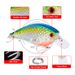 New 6 Colors 8cm Fishing Rock Bionic 10.5G16G Hard Bait DW438 Lure Rod Hot Sale_desvips.com