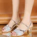 Open Toed Ddmywed Leg Loop Style Buckle Strap Sandal Summer Fish Mouth Dual Purpose External Wear Slippers Medium Heel_desvips.com