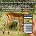 Cross-border Outdoor HD Hunting Infrared Night Vision Animal Tracking Camera Mobile Phone Remote Monitor_desvips.com