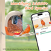 AI Recognition Smart Solar Low Power Consumption Waterproof 2K AHD Bird Feeder Wholesale_desvips.com