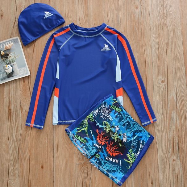 2026 New Model Swimwear, Two-Piece Lon-Sleeve Swimsuit Set For Older Children, Boys' Swimwear Wholesale And_desvips.com