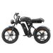 SINOHON AB20 Electric Fat Bike With 2×48V 18Ah Removable Batteries_desvips.com
