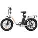 URLIFE E20 Commuting Electric Bike 250W Motor 48V 13Ah Battery_desvips.com