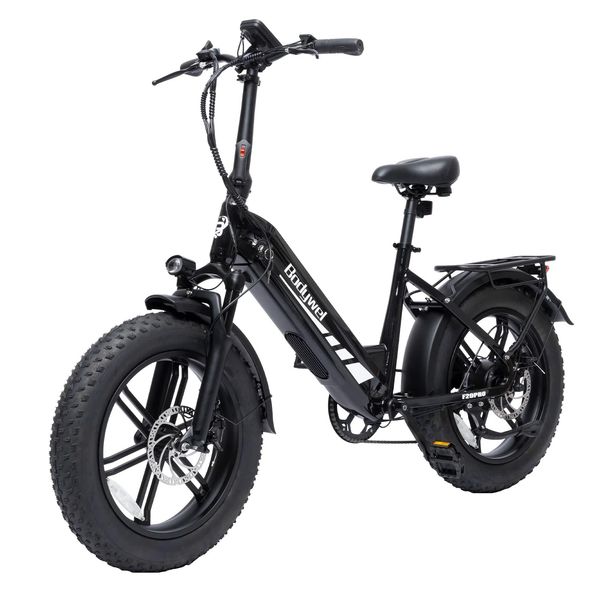 Bodywel F20PRO Fat Tire Touring Ebike 250W 48V18AH Battery_desvips.com