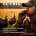 Ultimate 3-Pack Turkey Mouth Calls Combo KLUK’s Newest TURKINATOR, GO 2 Ghost & Crying Karen For Turkey Hunting Success_desvips.com