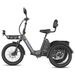FAFREES F20 Mate II Electric Tricycle, 48V 21Ah Battery,Hydraulic Disc Brakes,Front & Rear Baskets_desvips.com