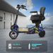 Scooter Electrique A Quatre Roues De La Vitesse Maximum 18 Km/h De Soutien 120kg Du Scooter 36v 18Ah De Double Moteur De 250w_desvips.com