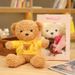 Teddy Bear Plush Toy Box, Stuffed Toy, Birthday Gift For Boyfriend, Girlfriend, Or Best Friend_desvips.com