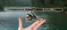 Telescopic ML Fishing Portable Mini Sea Casting Ultra-light Ultra-hard Slip Float Short Section Lure Rod Wholesale_desvips.com